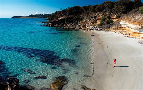 Maria Island Wildlife Odyssey - Black Tie Travel