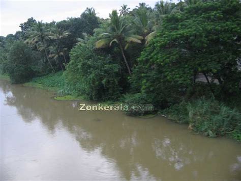 Aluva puzha