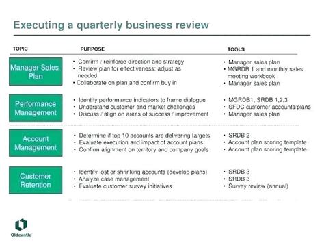 Professional Business Review Report Template