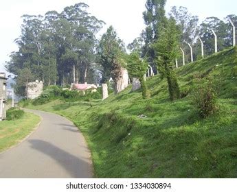 Ooty Hill Station Tamil Nadu India Stock Photo 1334030894 | Shutterstock