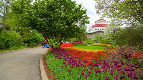 Cincinnati Zoo And Botanical Garden - Fresh Interior Concept