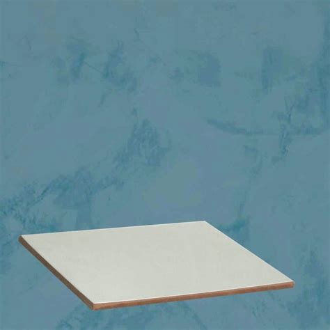 Vasari Andoria #55 Tintable Paint Sample (12-in x 12-in) in the Paint ...