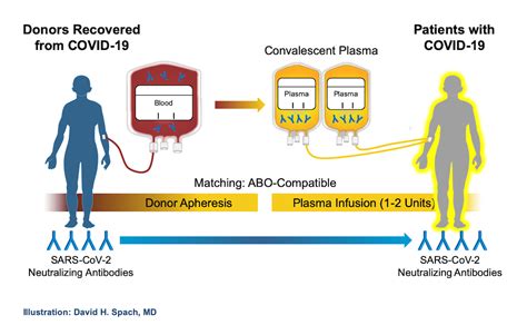 What is convalescent plasma treatment for COVID-19? - COVID-101