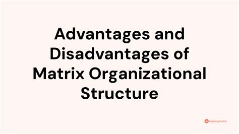 Advantages and Disadvantages of Matrix Organizational Structure