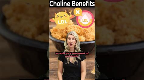 What is Choline? [Best Choline Foods, Supplements & Choline Benefits]