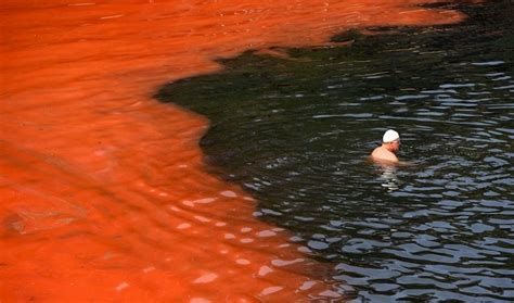 7 Amazing Photos Of Australia's Red Algae Blooms | Sydney beaches ...