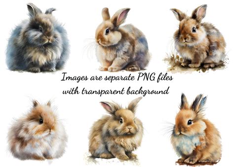 32 Fluffy Bunny Clipart, High Quality Transparent PNG, Watercolor, Card ...