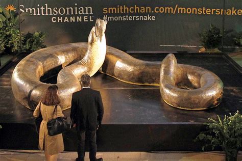 dimensions and comparisons - Titanoboa Cerrejonesis