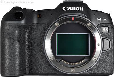 Canon EOS R8 Review