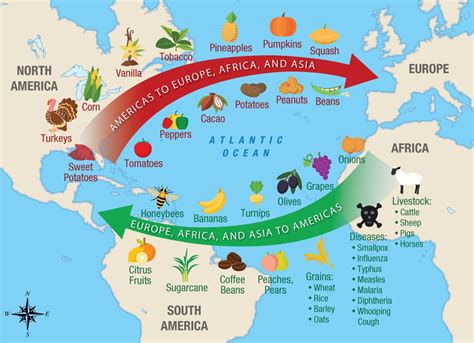 Columbian exchange map food | Cardinals