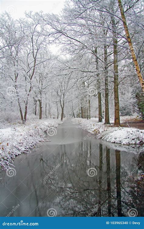 Winter Scenery Netherlands Stock Images - Download 2,449 Royalty Free ...