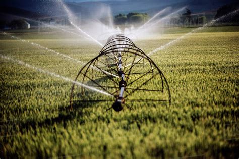 Irrigation system watering crops on farm field - Stock Photo - Dissolve