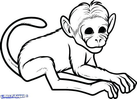 Monkey Outline Drawing | Free download on ClipArtMag