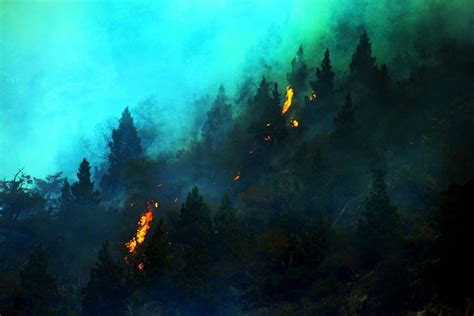 Chile on red alert as massive wildfires raze 1,000-year-old forests in drought-hit region ...