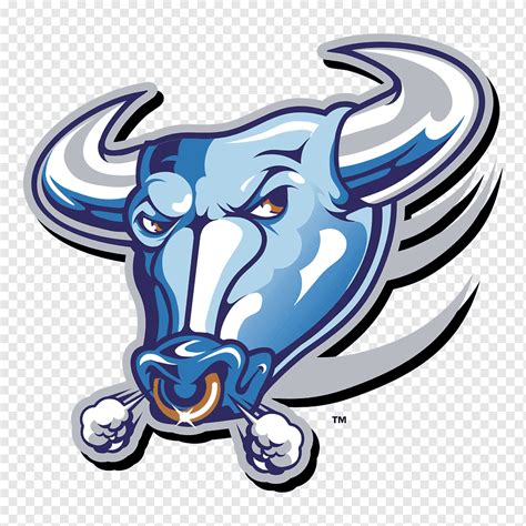 Buffalo Bulls football Buffalo Bills Logo, bull, animals, sport, fictional Character png | PNGWing