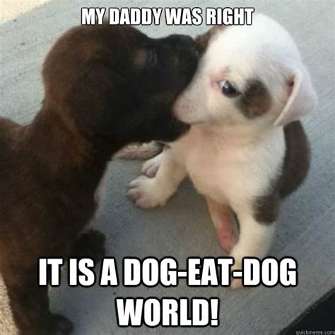 if it's a Dog eat Dog world!!! Which one are u? - Dog eat Dog - quickmeme