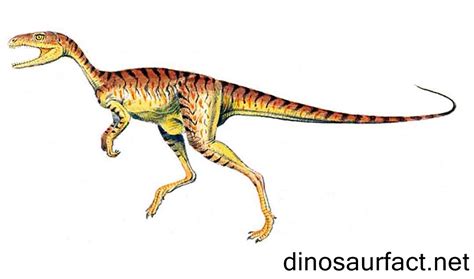 Camposaurus dinosaur