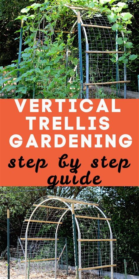 Easy Step by Step Vertical Trellis - The Contractor's Castle | Garden arch trellis, Garden vines ...