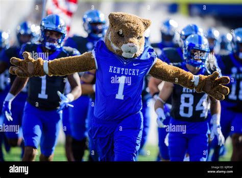 Kentucky wildcats mascot hi-res stock photography and images - Alamy