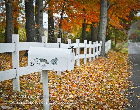 Fall Foliage in Bucks County | Words and Photographs