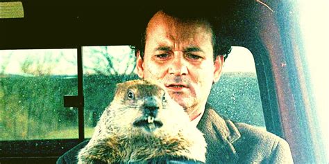 How Many Times Bill Murray's Phil Relives Groundhog Day In The Movie