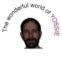 The Wonderful World of Yossie