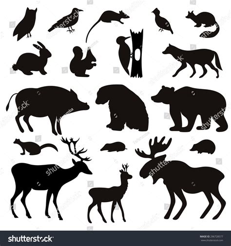 65 Animal Hand Shadow Arctic Images, Stock Photos & Vectors | Shutterstock