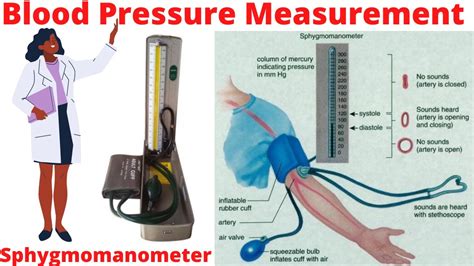 How To Measure Blood Pressure With A Sphygmomanometer Clearance | cityofclovis.org