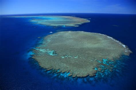 Port Douglas - Great Barrier Reef Tours