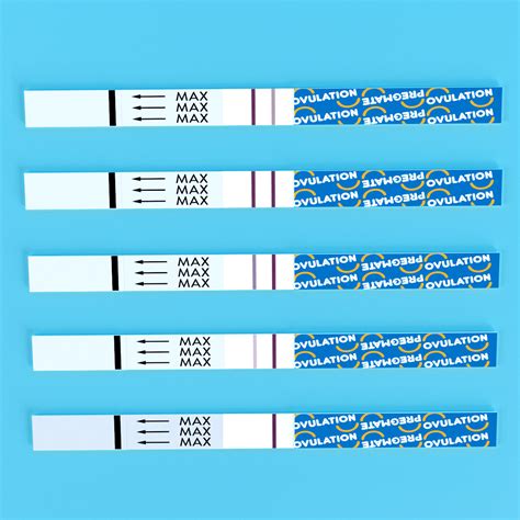 Reading ovulation test strips results – PREGMATE