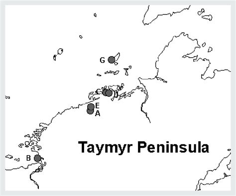 Localities on the Taymyr Peninsula where six dark-bellied brent geese ...