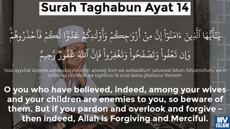 Surah Taghabun Ayat 14 (64:14 Quran) With Tafsir - My Islam