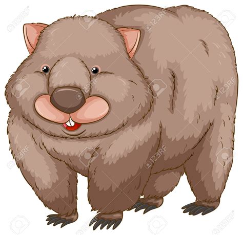 Wombat clipart 20 free Cliparts | Download images on Clipground 2024