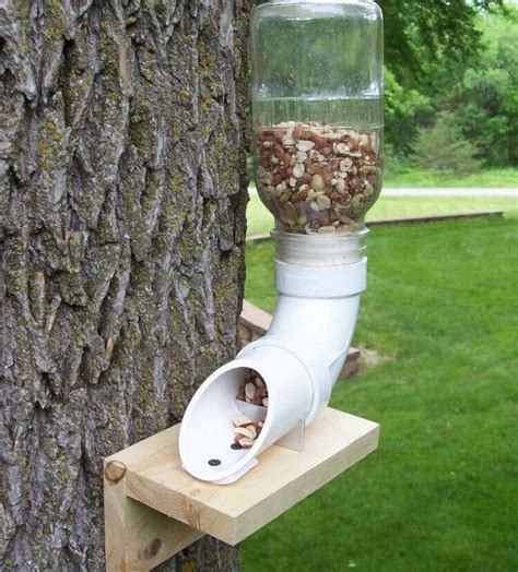 Squirrel Feeder Kit