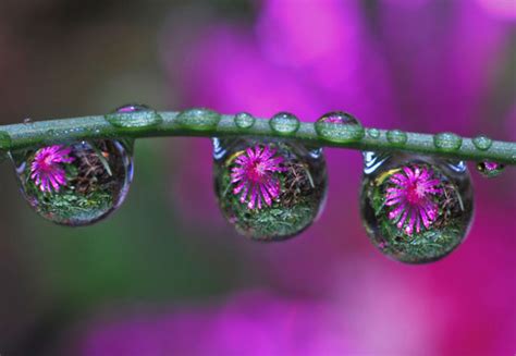 45 Stunning Examples of Water Drop Reflection Photography | Designbeep