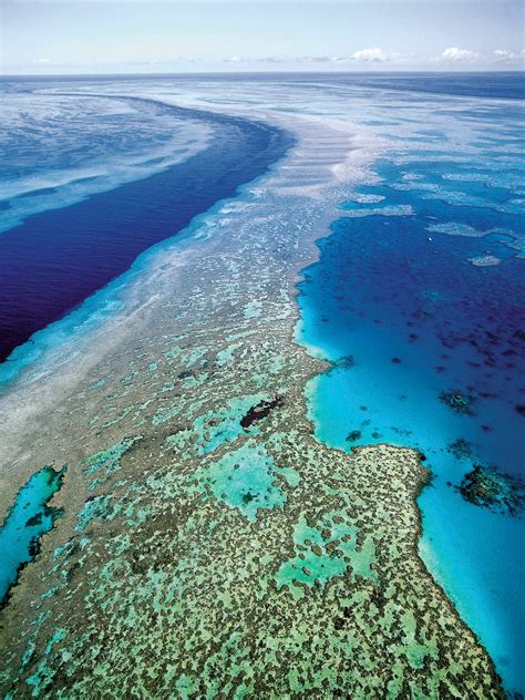 Australia Unveils Its Plan to Protect Great Barrier Reef - The New York Times