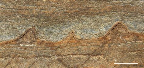 3.7-Billion-Year-Old Rock May Hold Earth's Oldest Fossils | Live Science