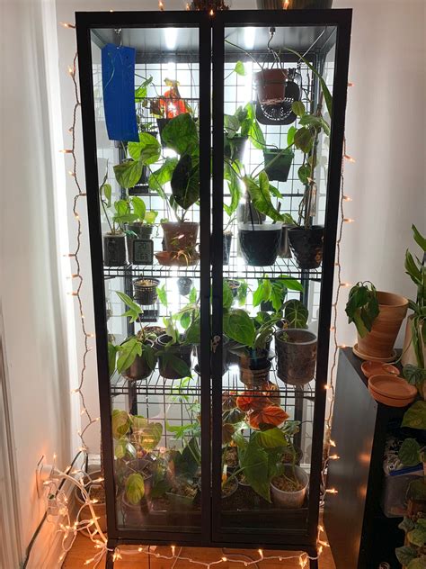 Convert Ikea Milsbo cabinet into greenhouse | Ikea glass cabinet, Ikea plants, Ikea garden