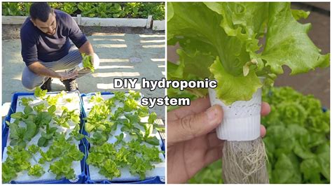 DIY Hydroponic Garden: How to DESIGN and BUILD an INEXPENSIVE SYSTEM ...