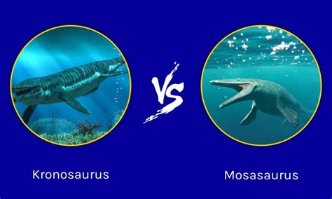 Kronosaurus vs Mosasaurus: Who Would Win in a Fight? - IMP WORLD