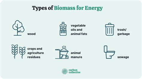 What Is Biomass? | The Challenges of Harnessing Its Energy Potential