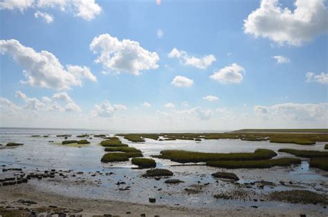 Pin by Peter Favier on Terschelling | Beach, Outdoor, Water