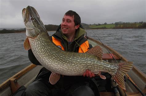 A great end to the pike fishing season at Chew Valley Lake — Angling Times