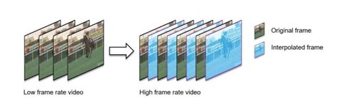 NVIDIA Adds AI Frame Generation Capability to Video Encoding and ...