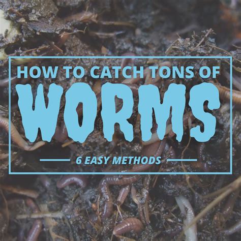 6 Guaranteed Ways to Get Worms Out of the Ground Fast - SkyAboveUs