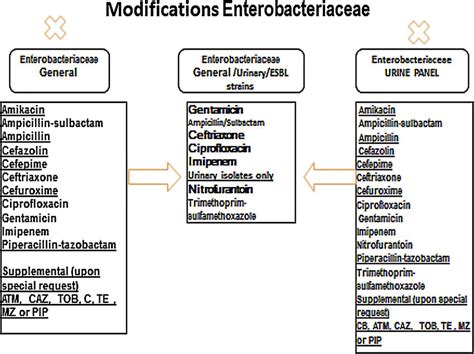 Enterobacter Cloacae Antibiotics