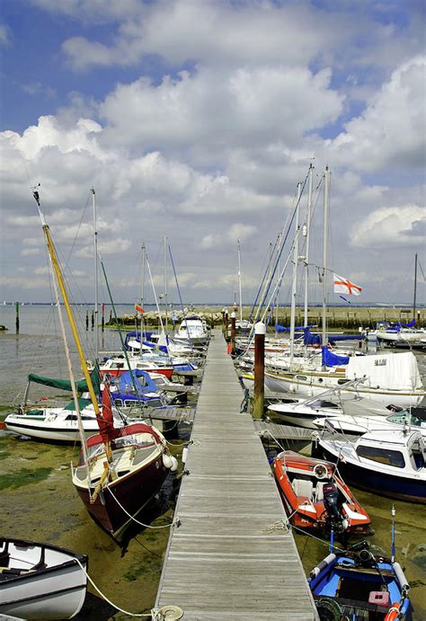 Along C Pontoon in Ryde Harbour Photograph by Rod Johnson | Fine Art America