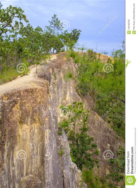 Steep cliff stock image. Image of flora, mountain, canyon - 104162767