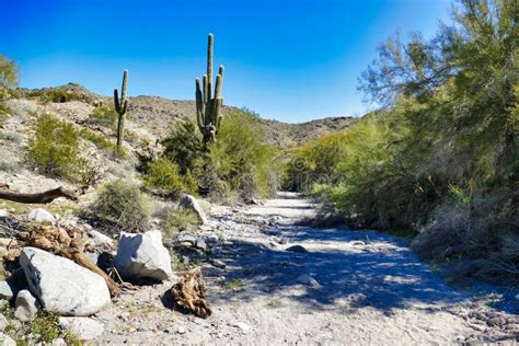 Arroyo in the Desert Park Skyline Regional Park, Buckeye, Arizona Stock ...