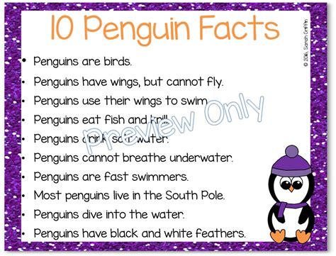 Best 25 Penguin Facts Ideas On Pinterest Report Writing